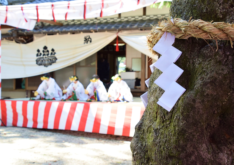 栲幡祭