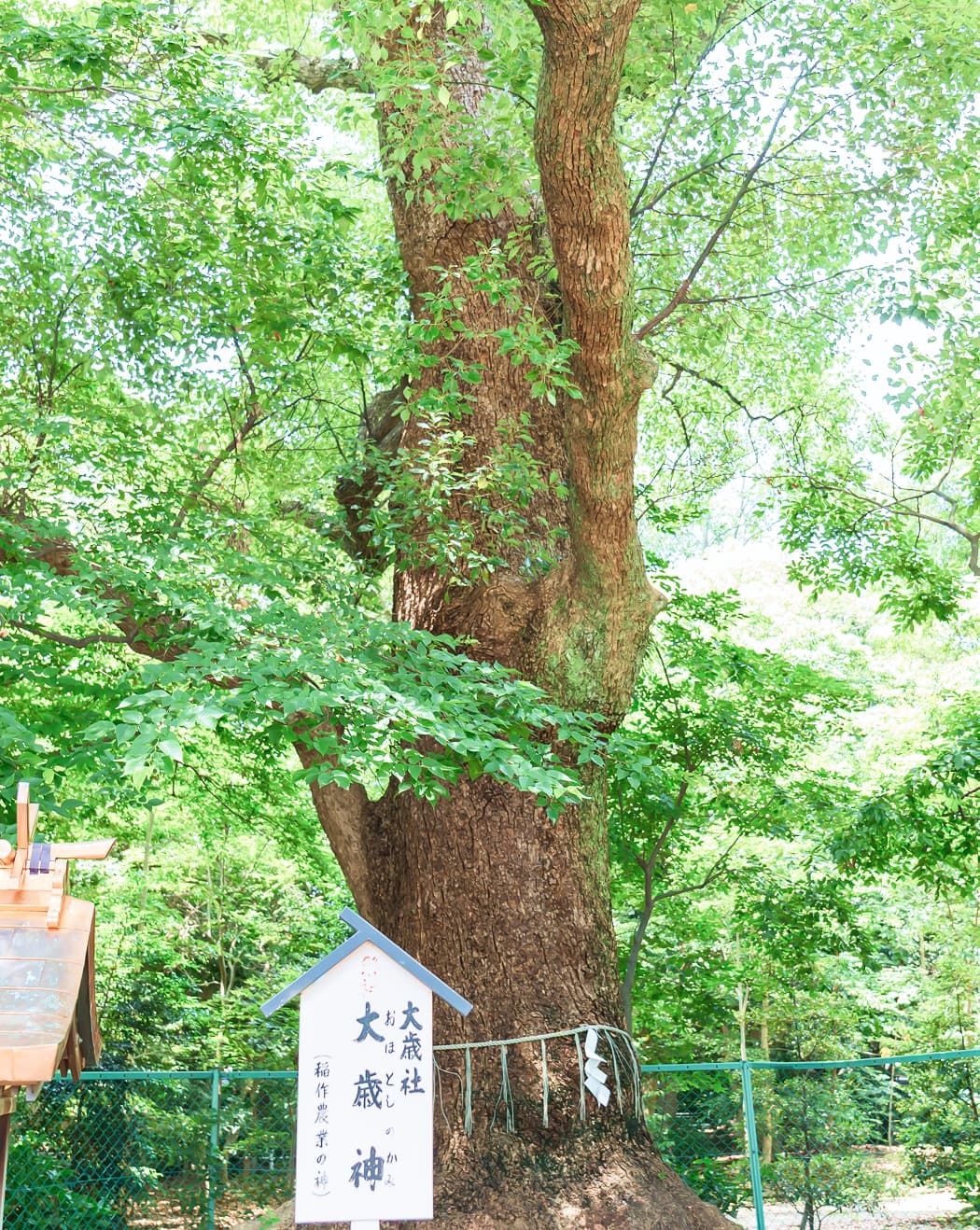 神社の写真