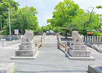 太鼓橋の狛犬